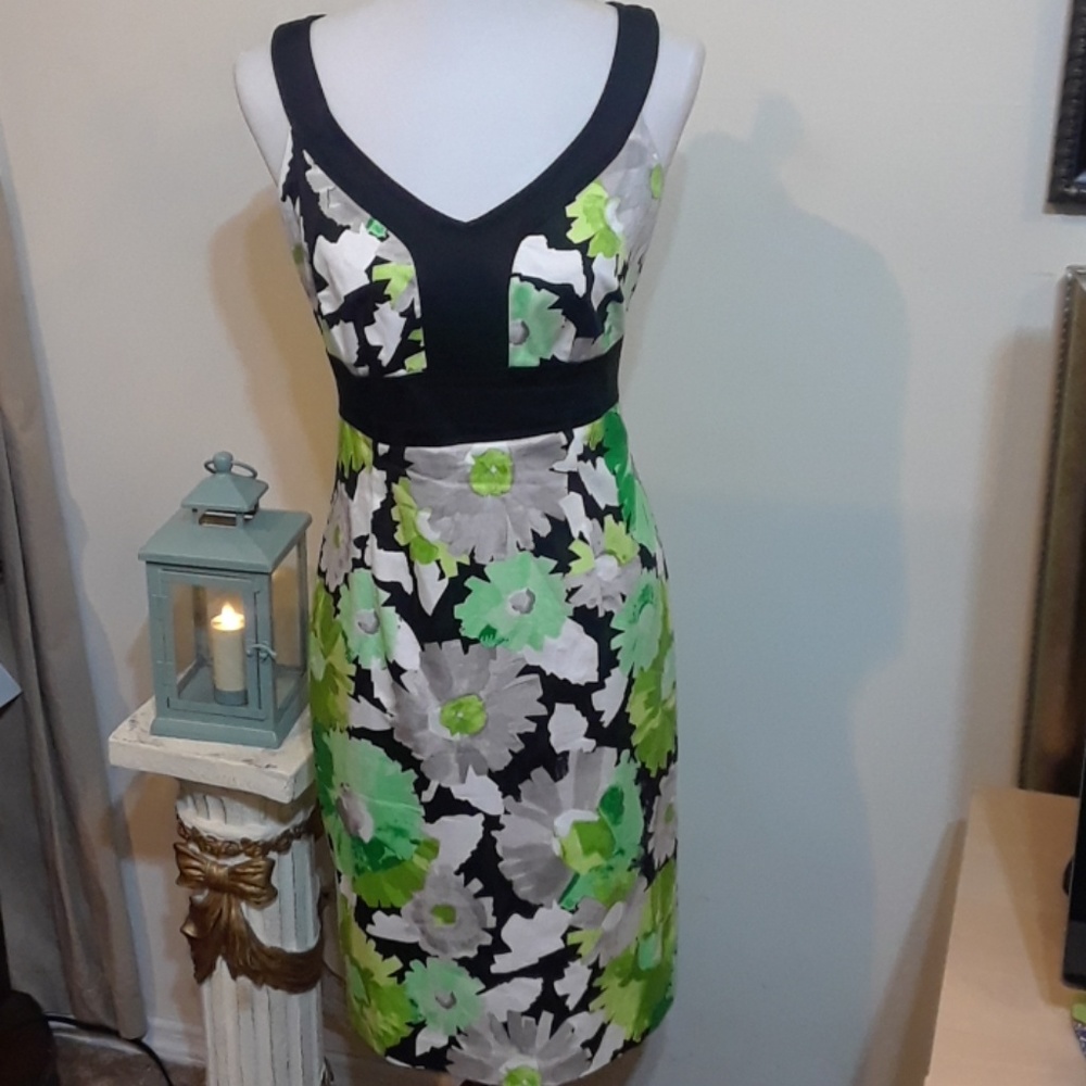 Beautiful Sandra Darren Dress